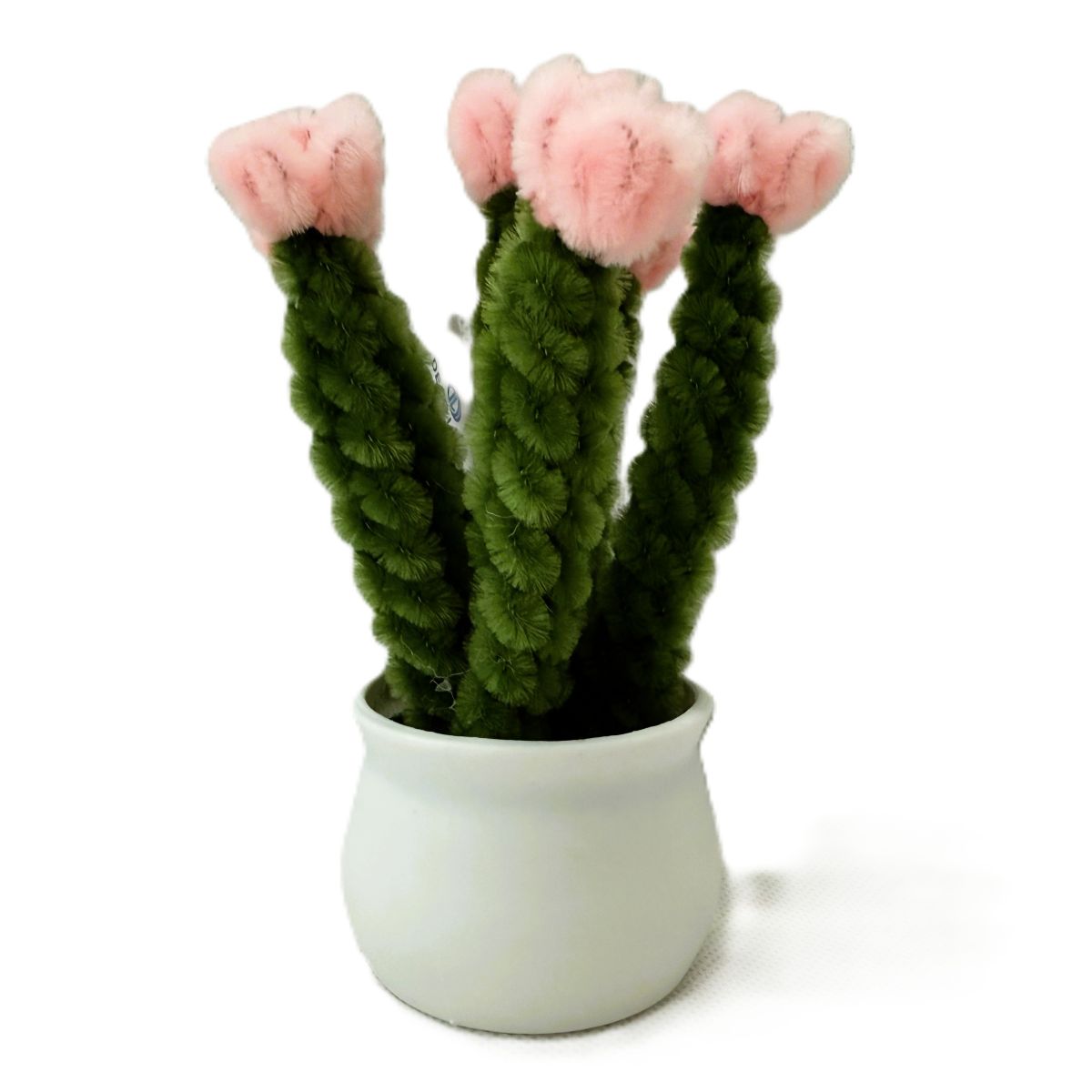 Cactus Twist Flower Pot 210