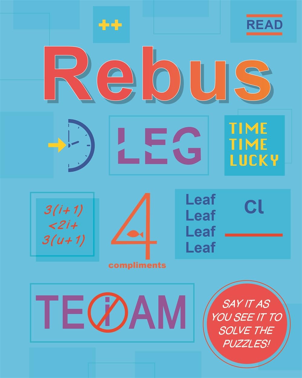 Rebus (Bewildering Brain Teasers For Adults) (Paperback)
