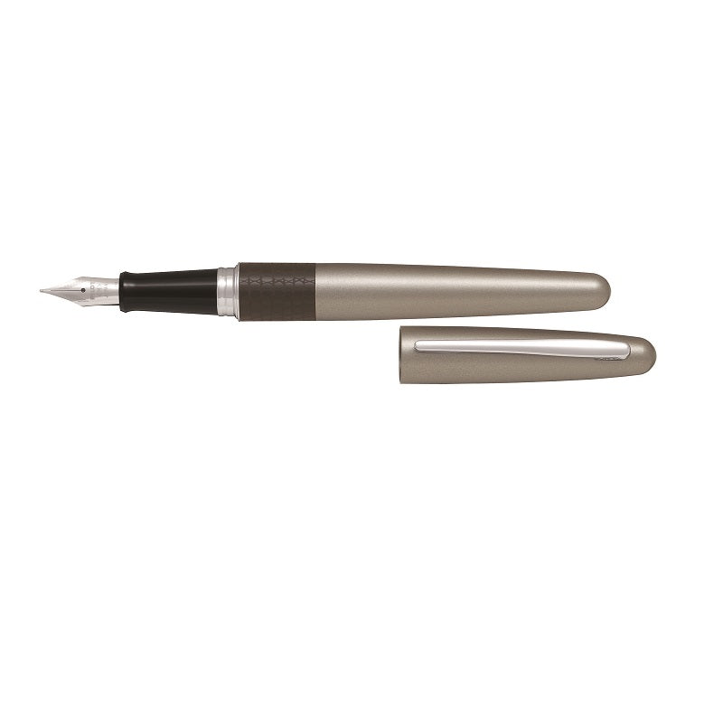 Pilot MR2 Series Fountain Pen Fine Nib Lizard Design