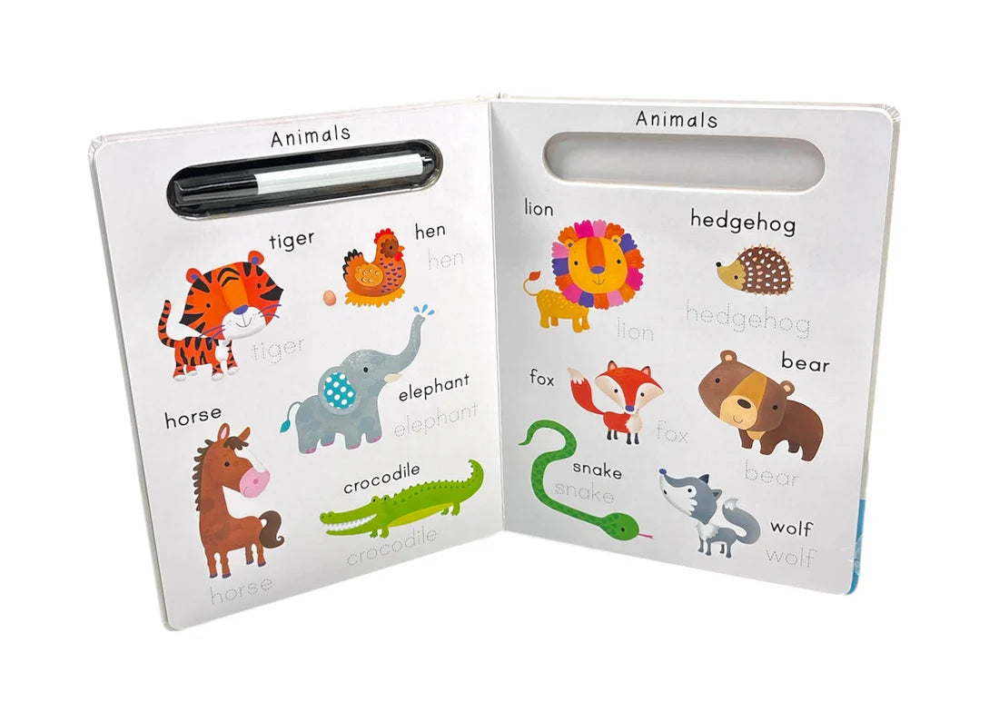 Wipe-Clean: Learn To Write First Words