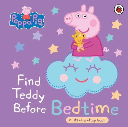 Find Teddy Before Bedtime (Lift the Flap)