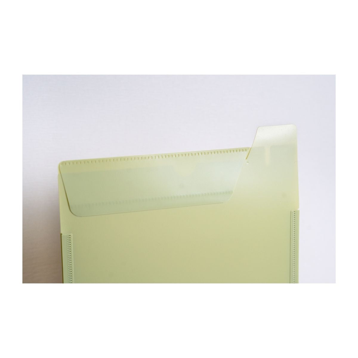 Pop Bazic A4 Plastic Folder - Green