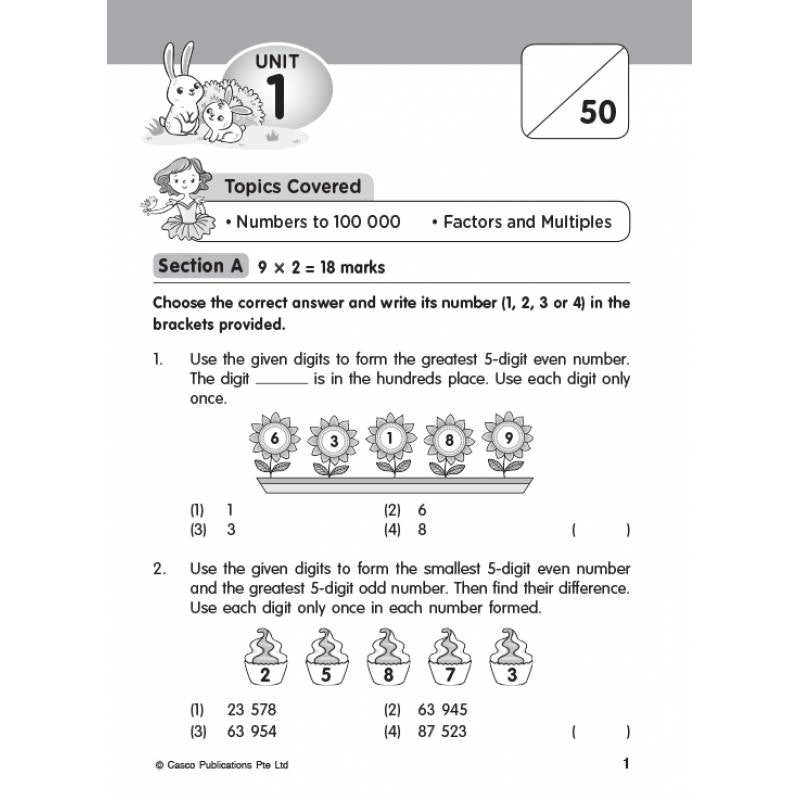 Primary 4 IQ Mathematics 