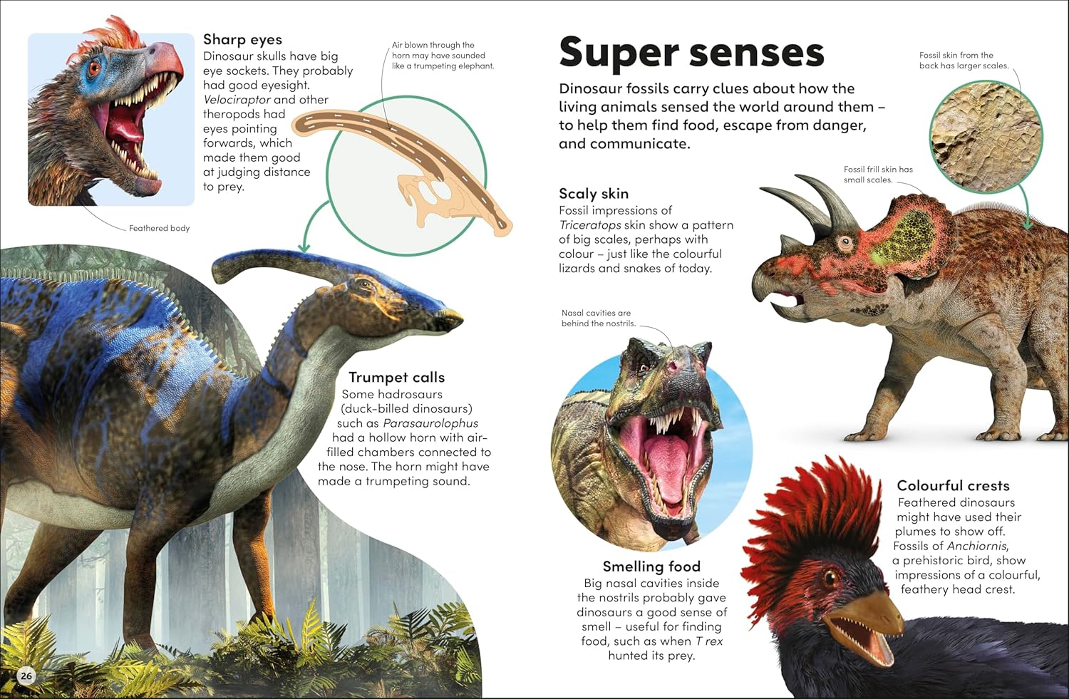 Eyewonder Dinosaurs: Open Your Eyes to a World of Discovery