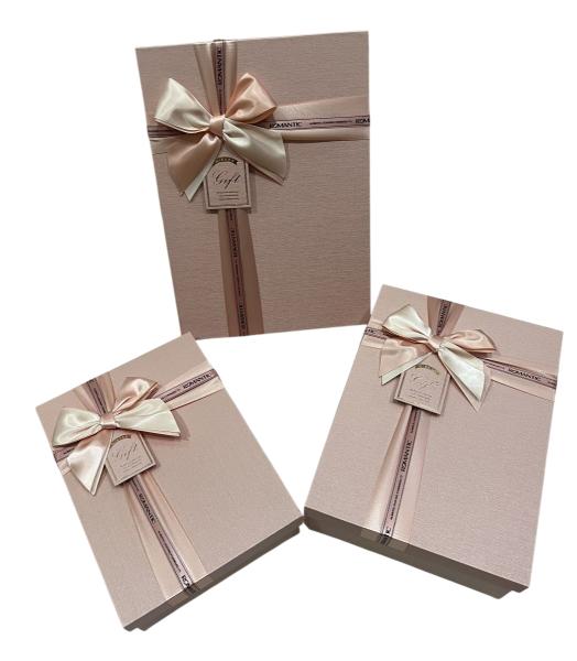 Gift Box (M) 26*19*8 Y91307
