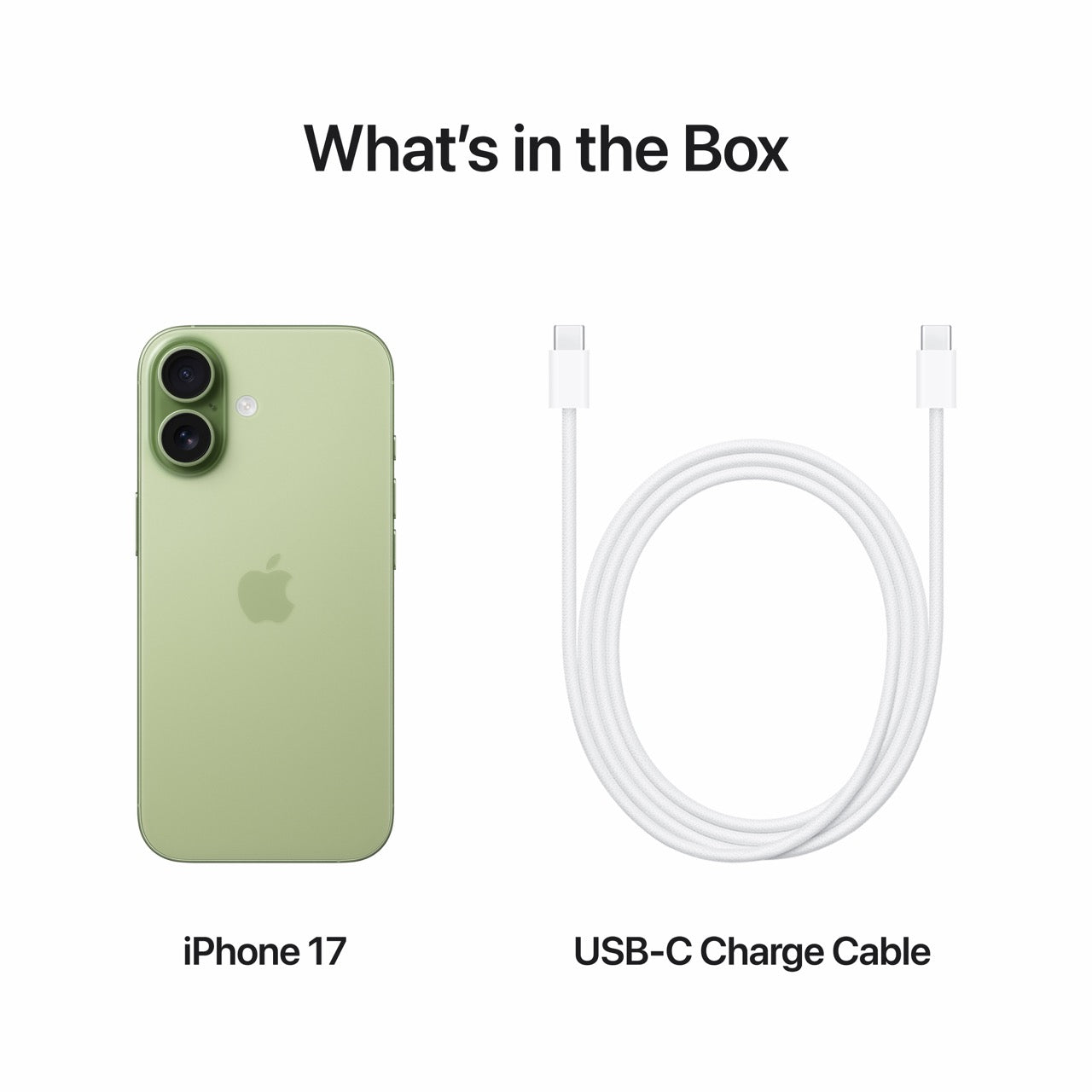 Apple iPhone 17 256GB Sage