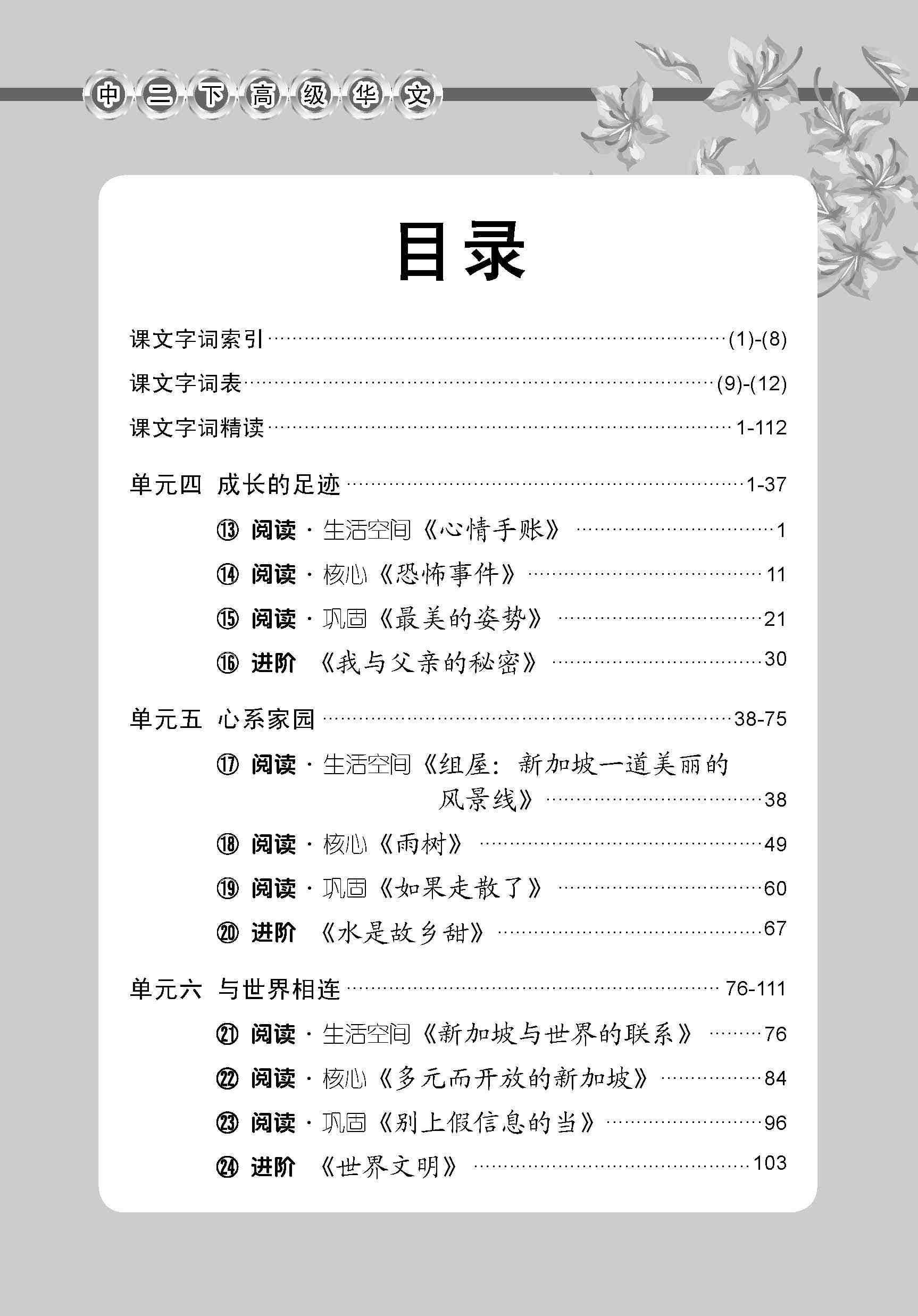 A Handbook Of Higher Chinese Vocabulary For Secondary 2B 中学二年级高级华文课文字词手册 (二下) 