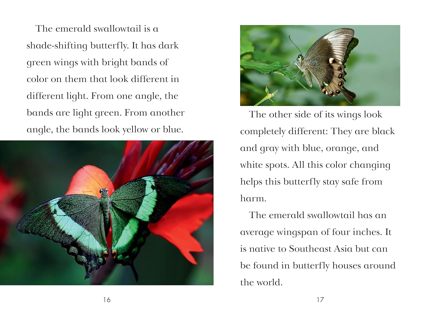 TIME for Kids: Insects
