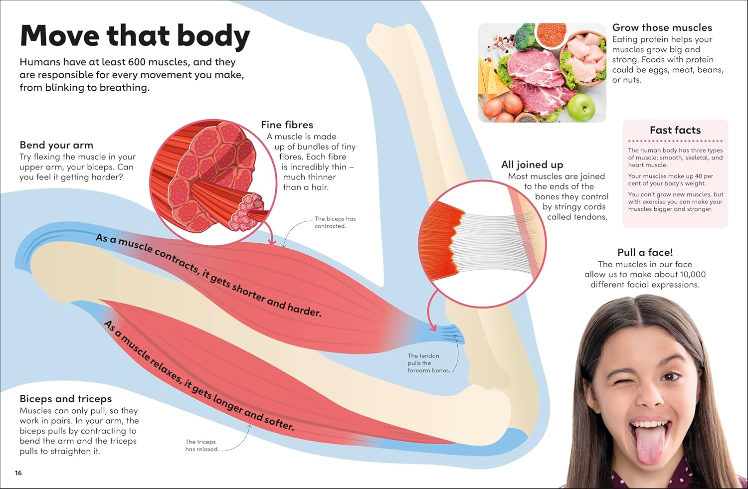 Eyewonder Human Body: Open Your Eyes to a World of Discovery