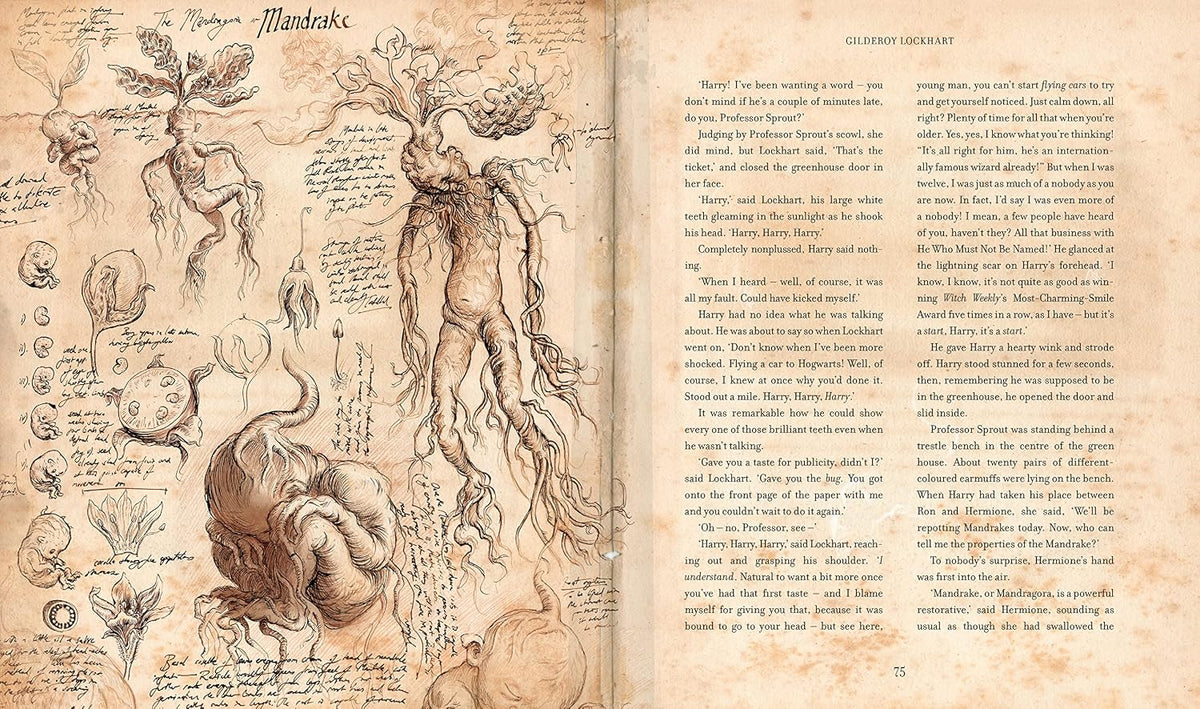 Harry Potter and the Chamber of Secrets: Illustrated Edition (Hardback)