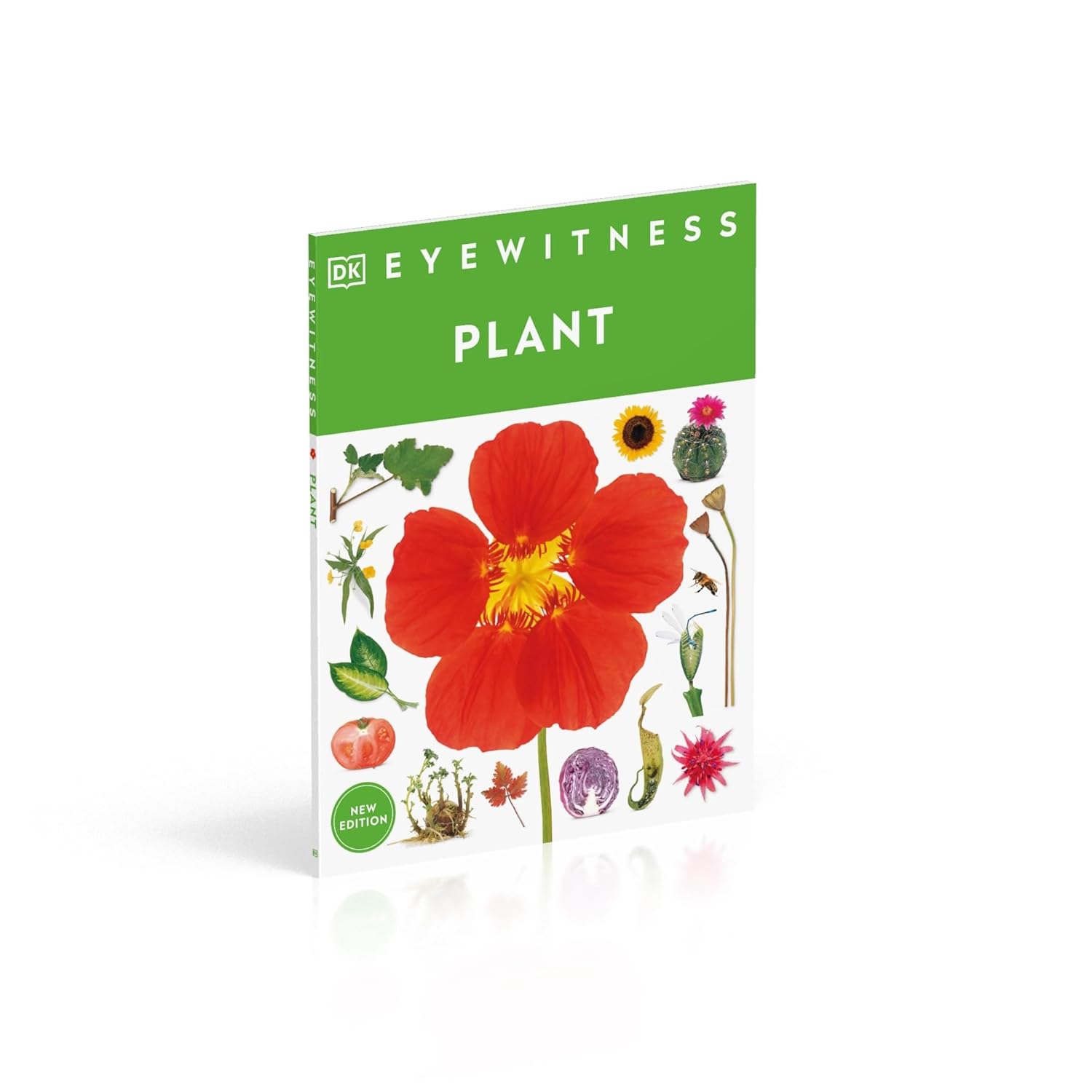 Eyewitness Plant