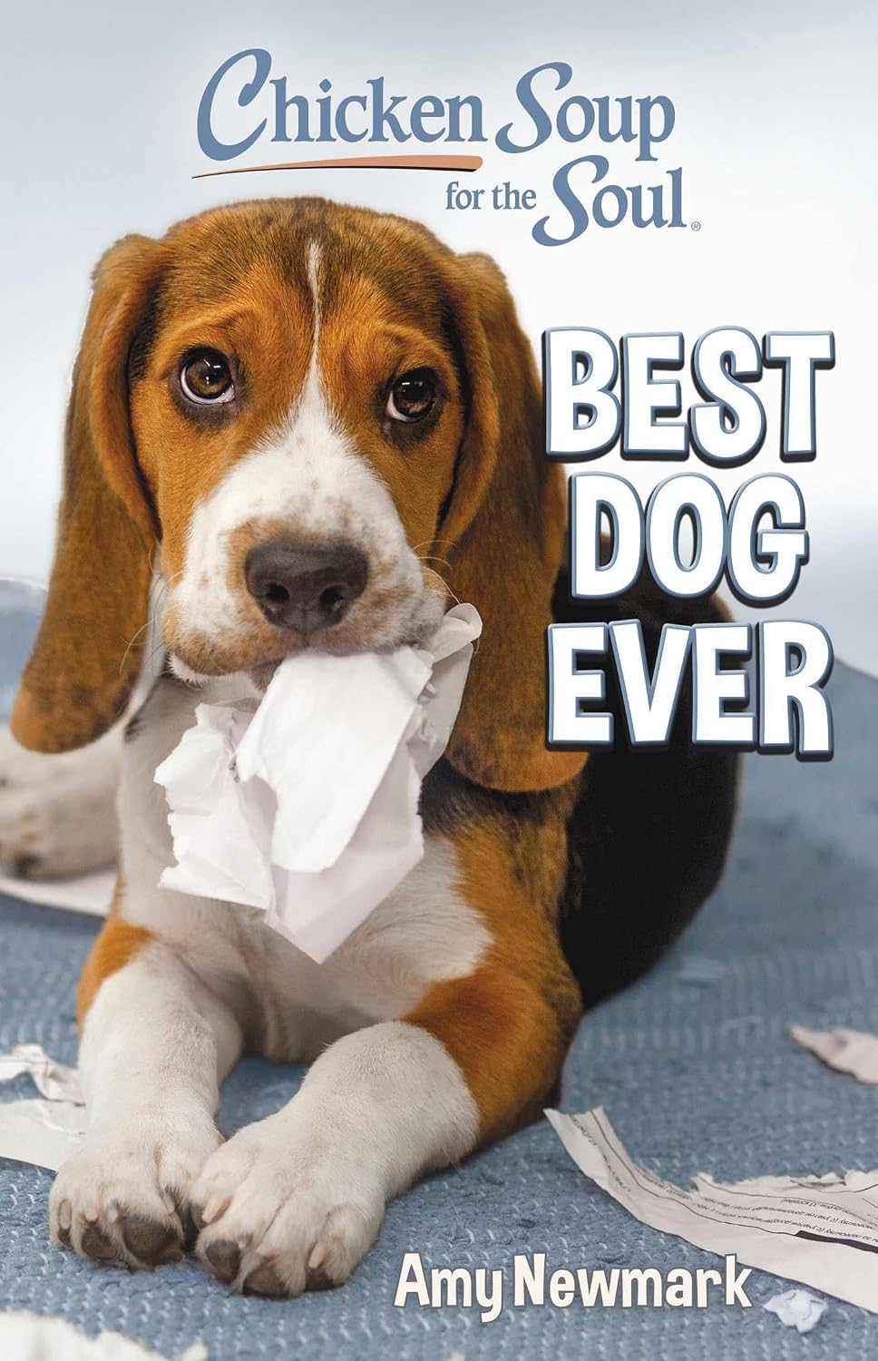 Chicken Soup for the Soul: Best Dog Ever (Paperback)
