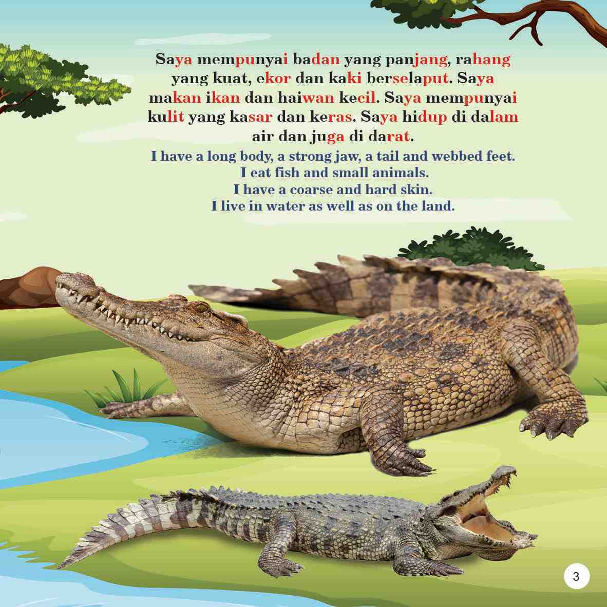 Trivia Kanak-kanak Tentang Reptilia Dan Amfibia Dwibahasa