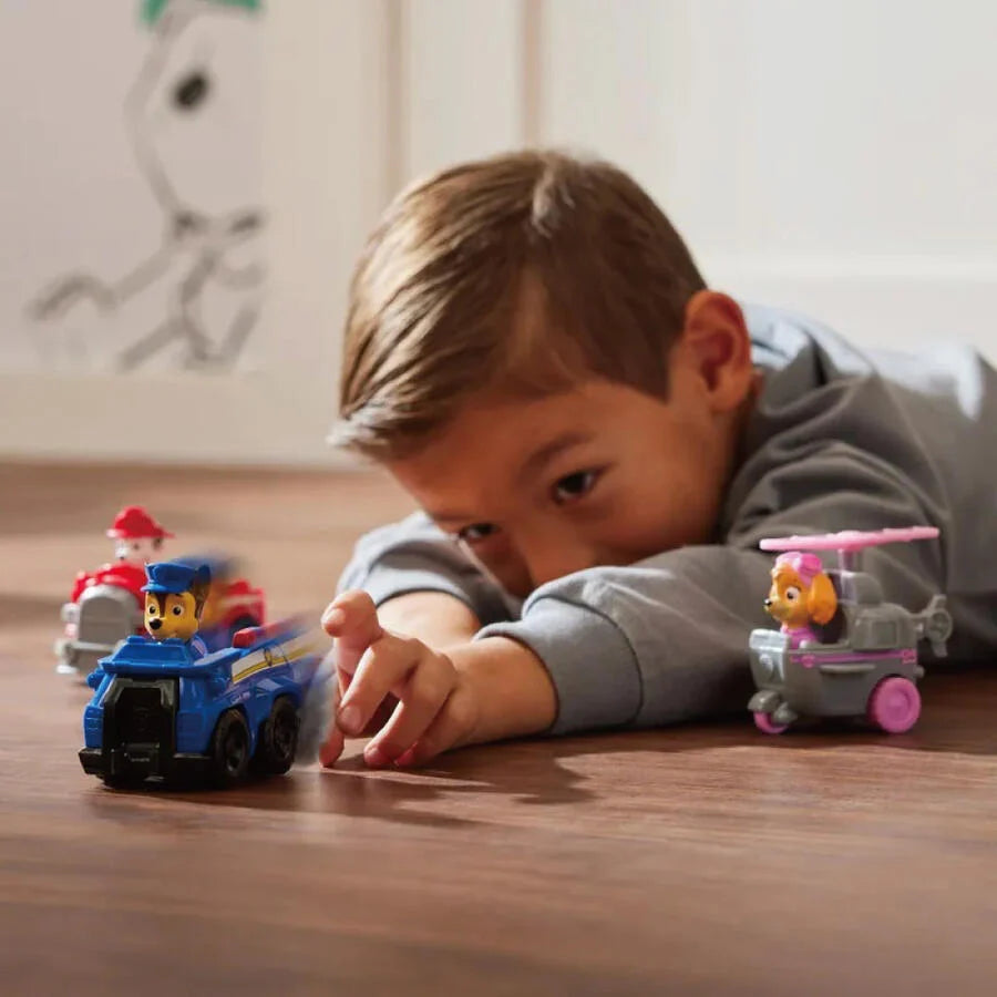 PAW PATROL DELUXE RESCUE RACER ASSORTED