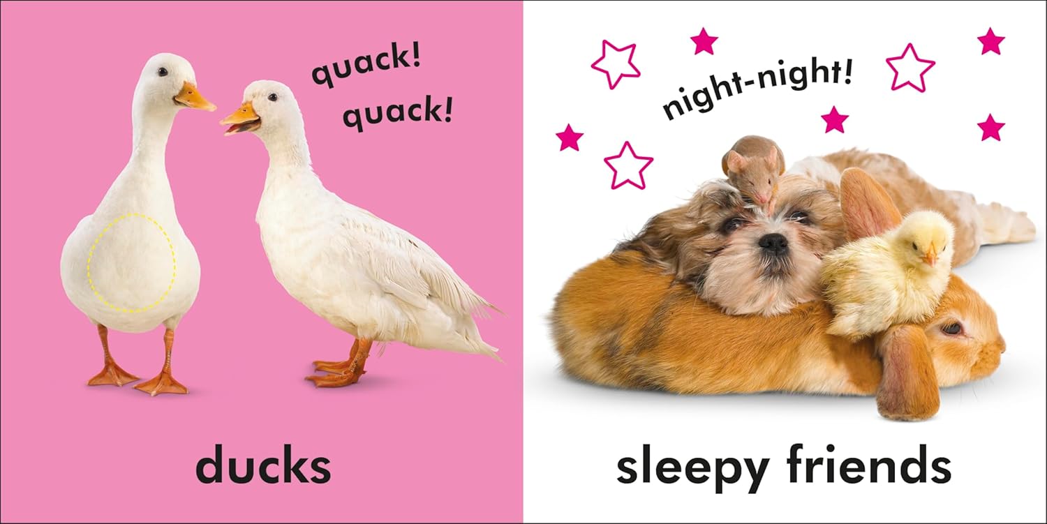 Baby Touch & Feel Farm Friends (Board Book)