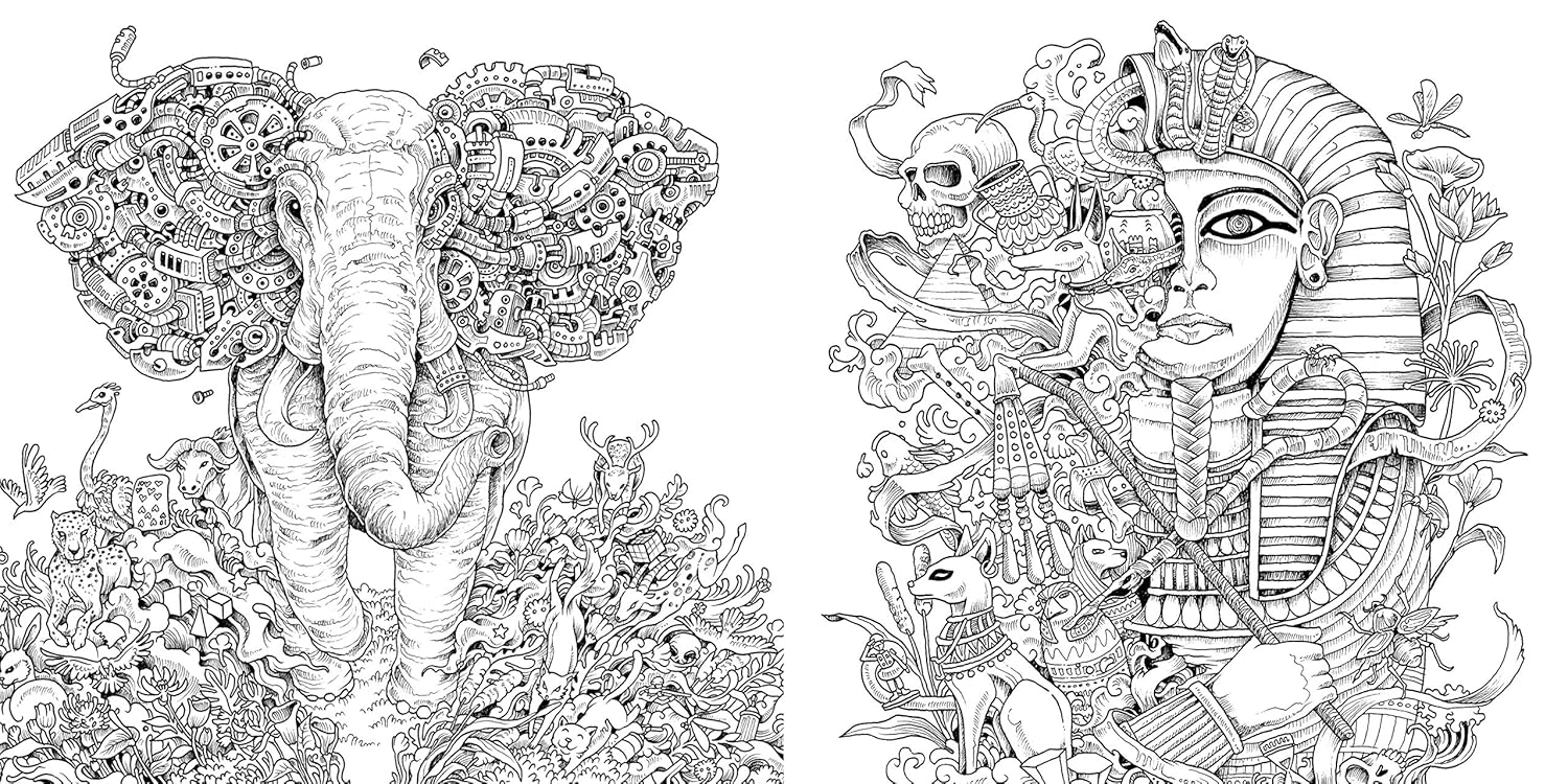 Imagimorphia: An Extreme Colouring and Search Challenge (Paperback)