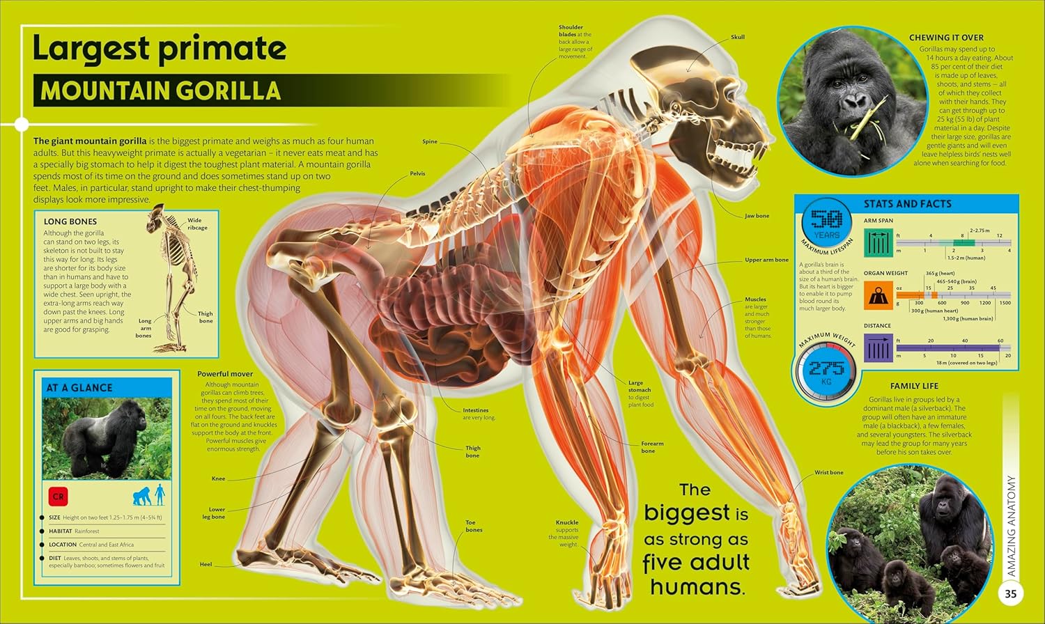 Super Nature: The 100 Biggest, Fastest, Deadliest Creatures on the Planet (DK Super Nature Encyclopedias) - 2nd Edition