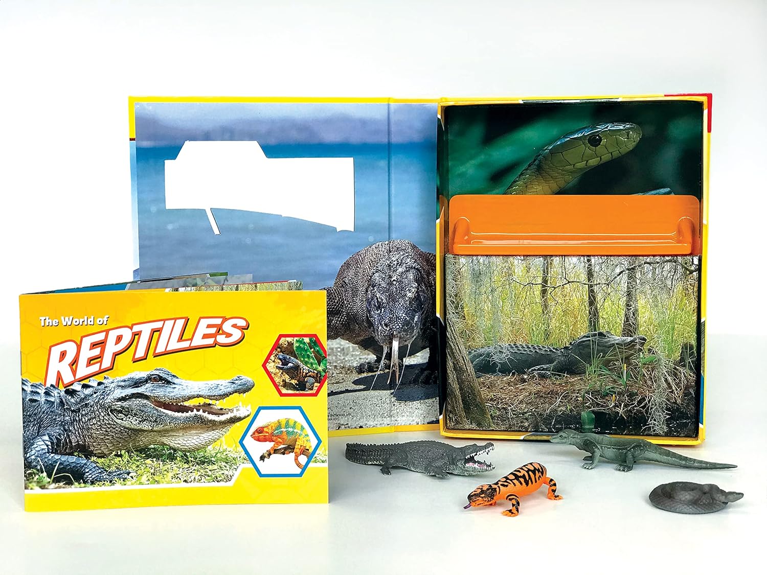 Pocket Explorer: Reptiles