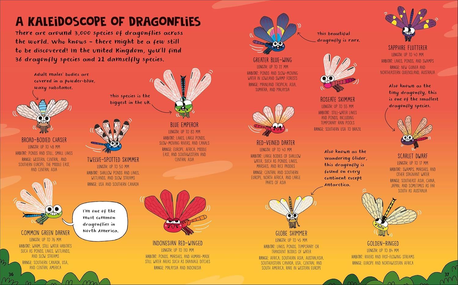 How To Be A Dragonfly