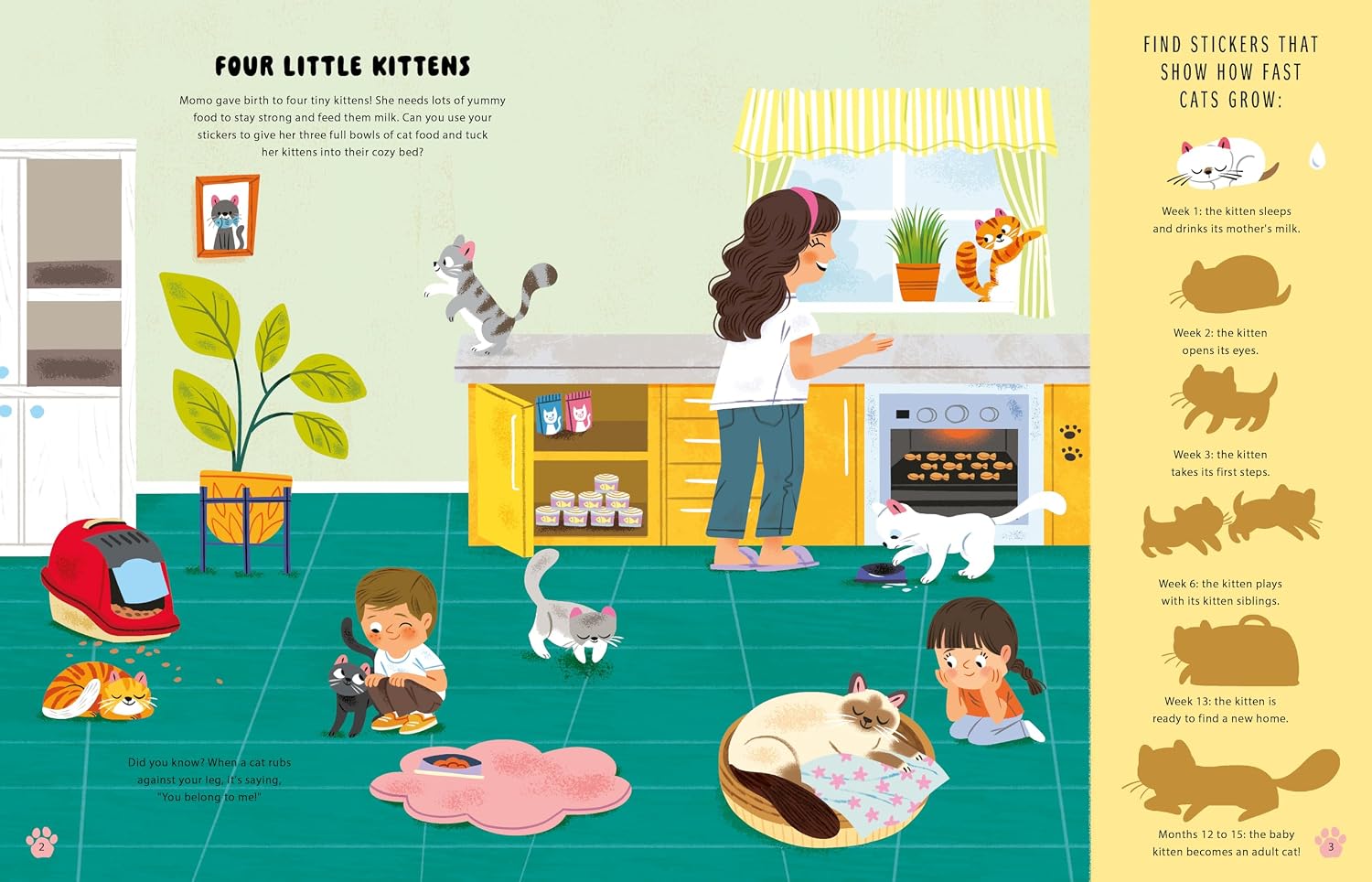 Cats (Sticker Book)