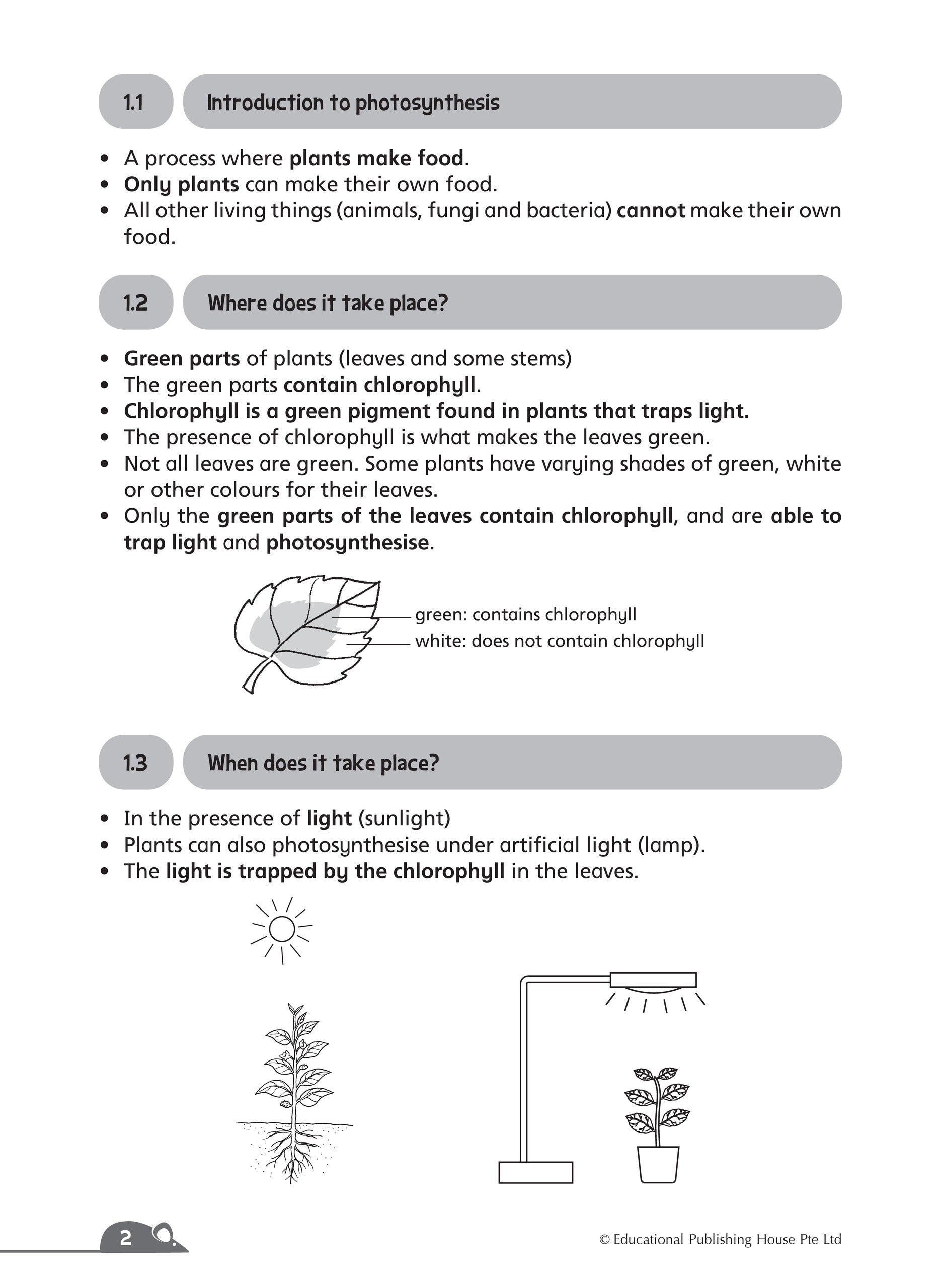 P6 Complete Science Essentials 