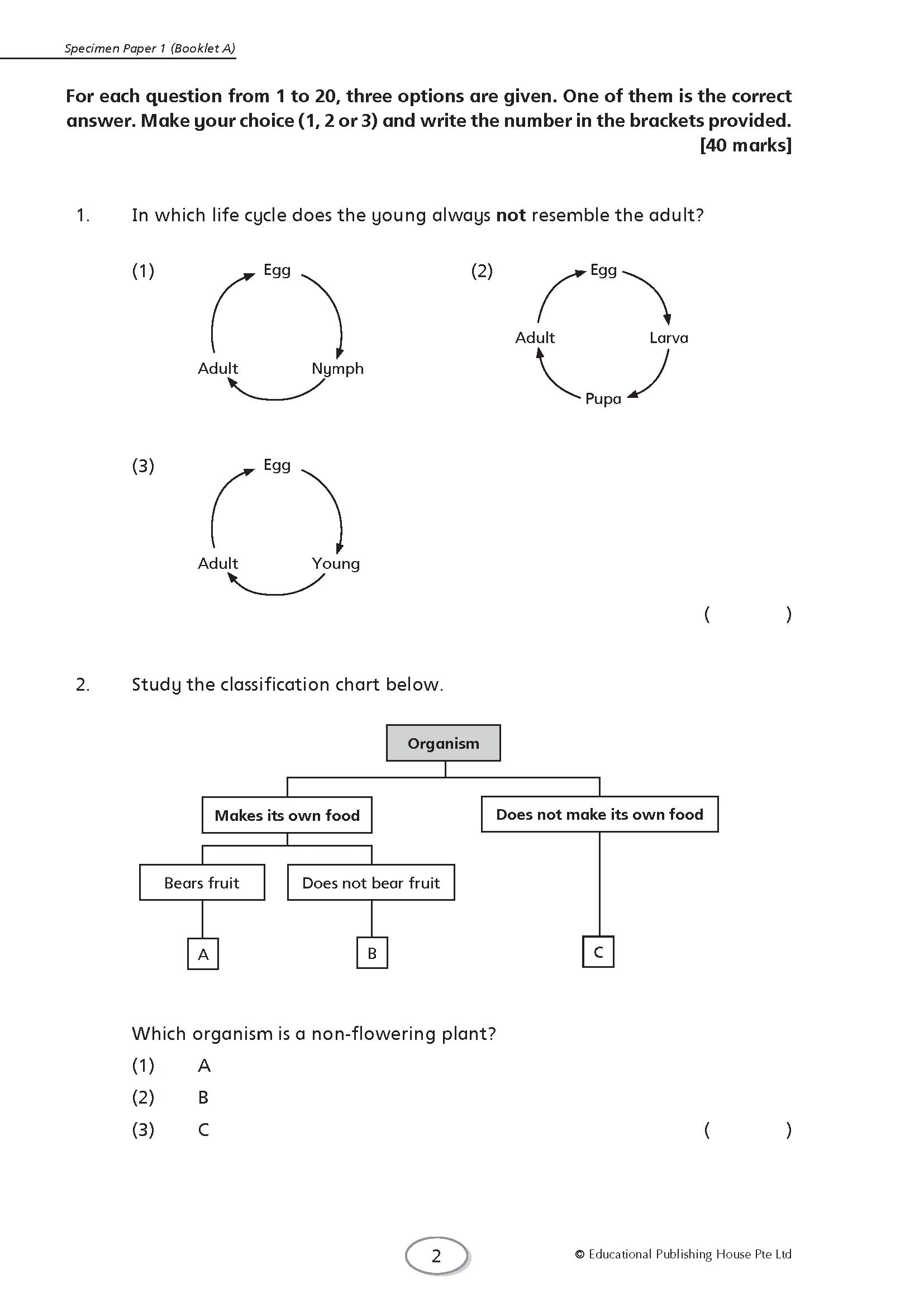 Preparing For PSLE Foundation Science