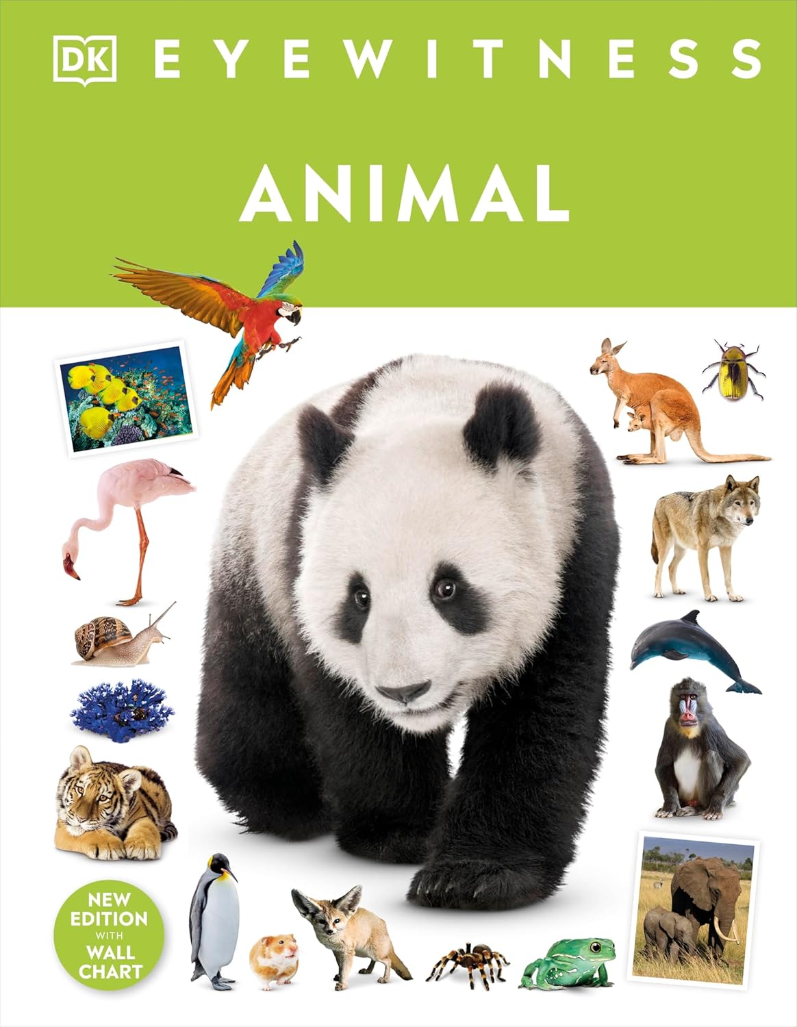 Eyewitness Animal (DK Eyewitness)