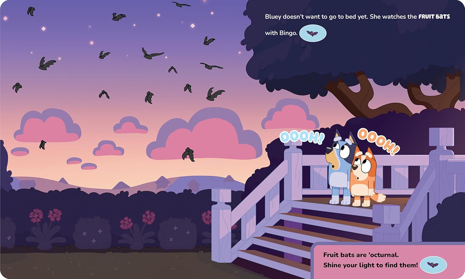 Bluey - Oooh, Shiny! A Bluey Flashlight Toy Adventure Sound Book - PI Kids