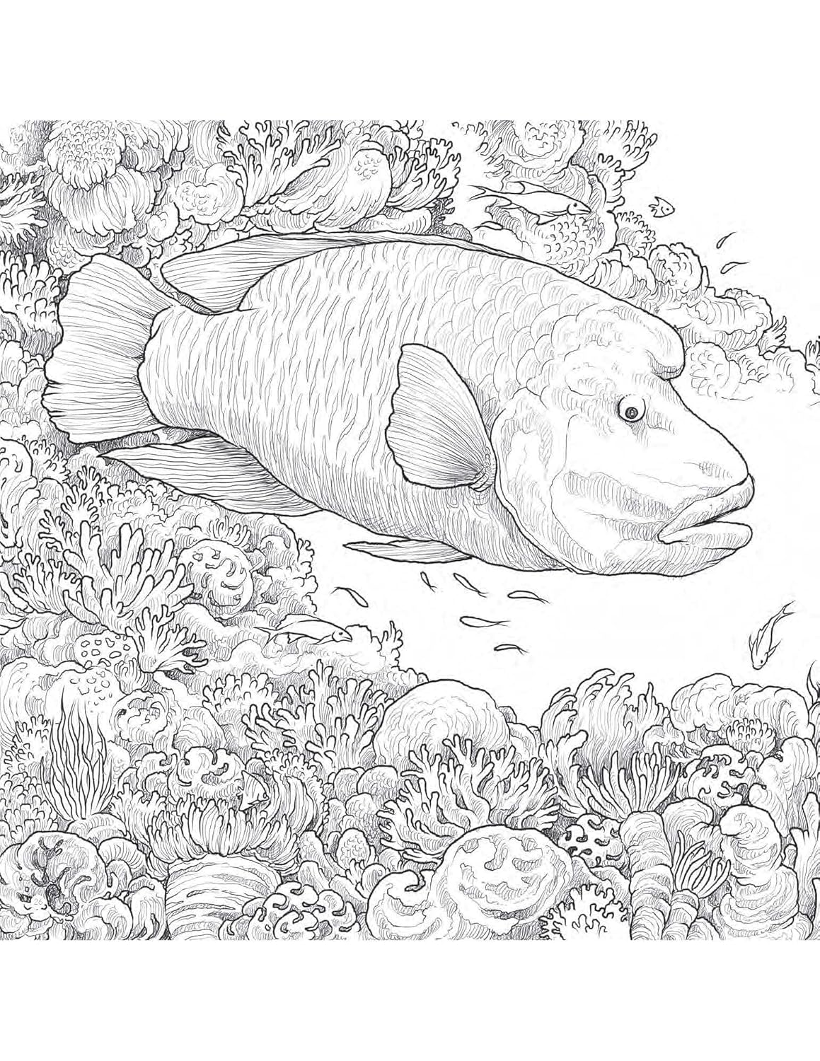 Fragile World Colouring Book