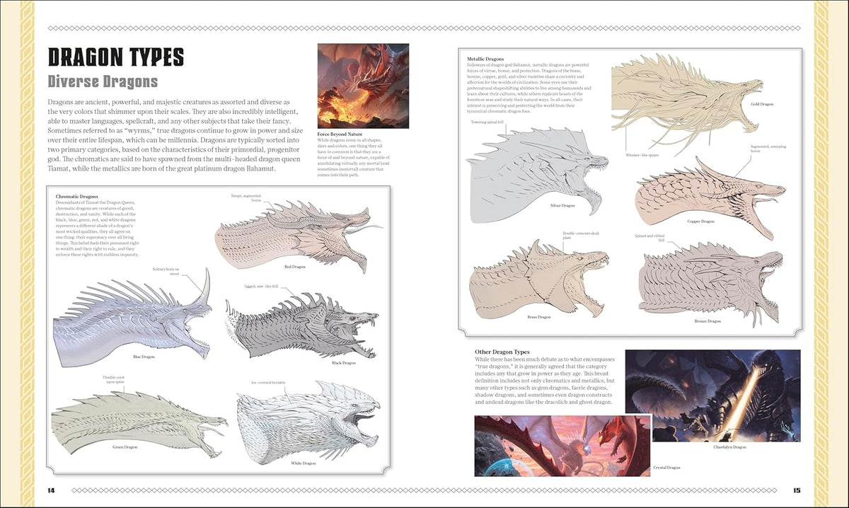 Dungeons & Dragons The Book Of Dragons