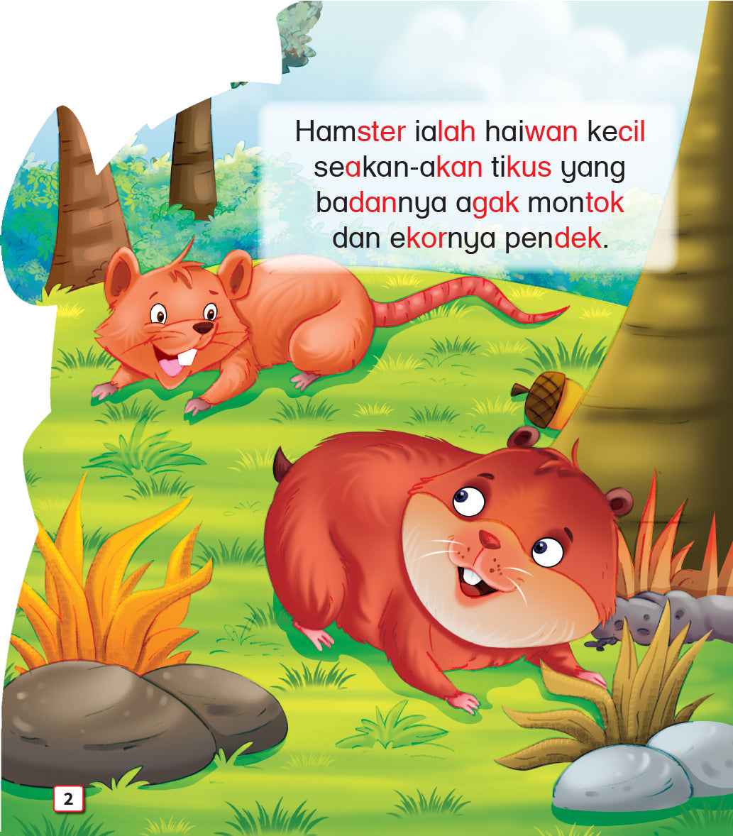 Mari Mengenal Saya : Hamster