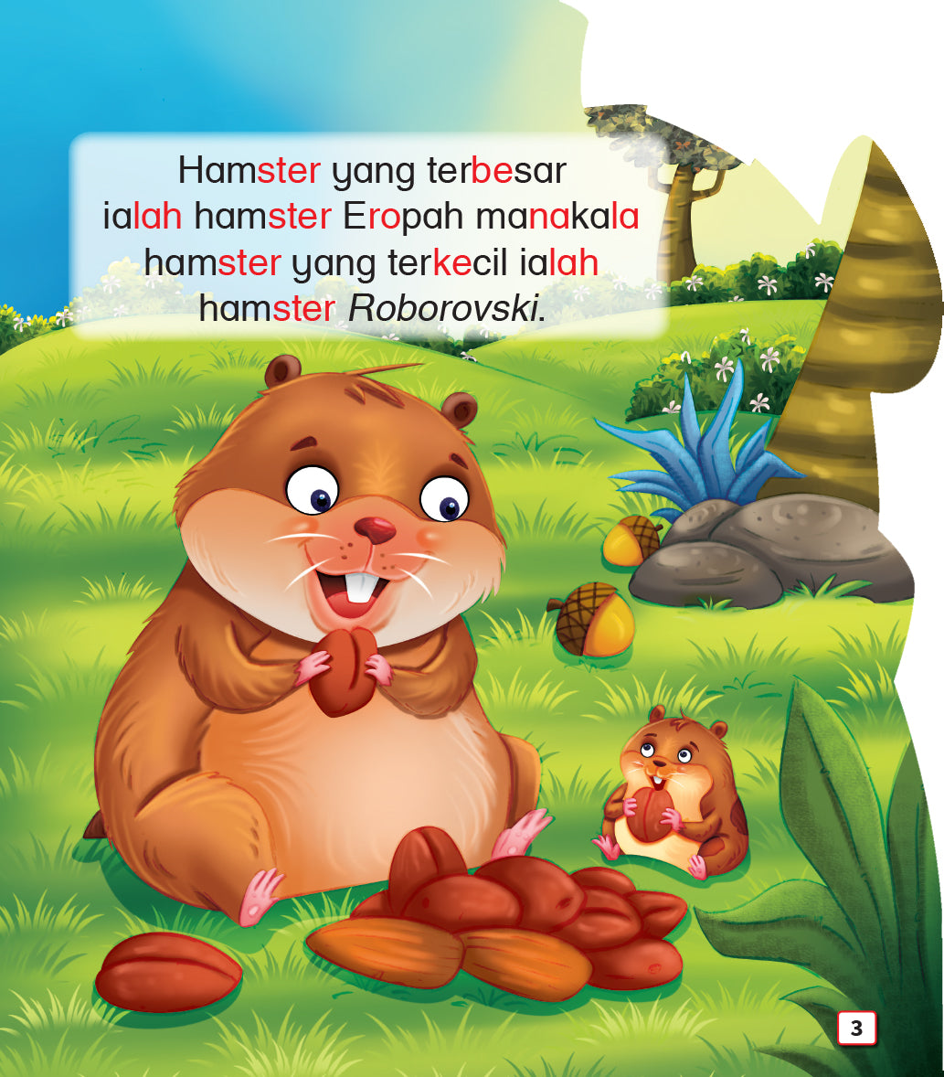 Mari Mengenal Saya : Hamster