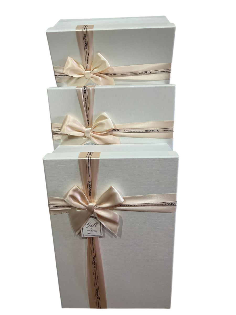 Gift Box (M) 37*26*12 Y91337