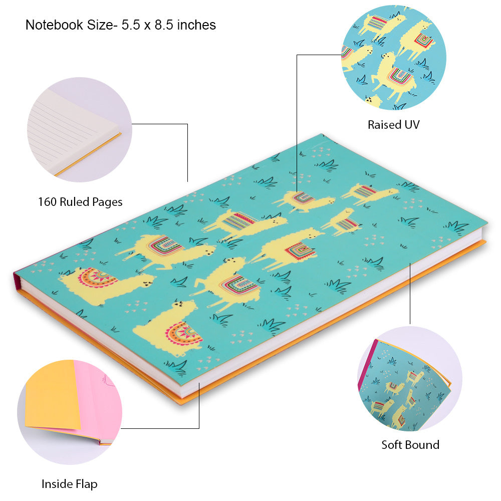 Notebook - Alpaca 2