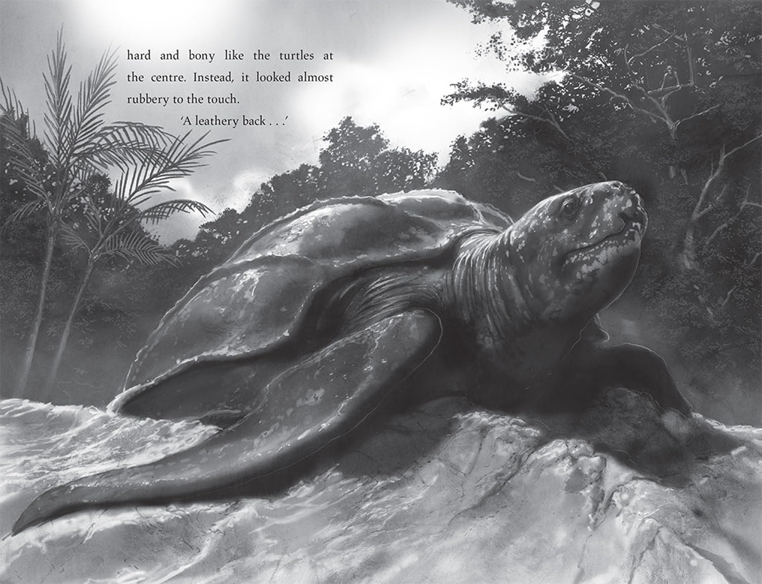 Turtle Moon