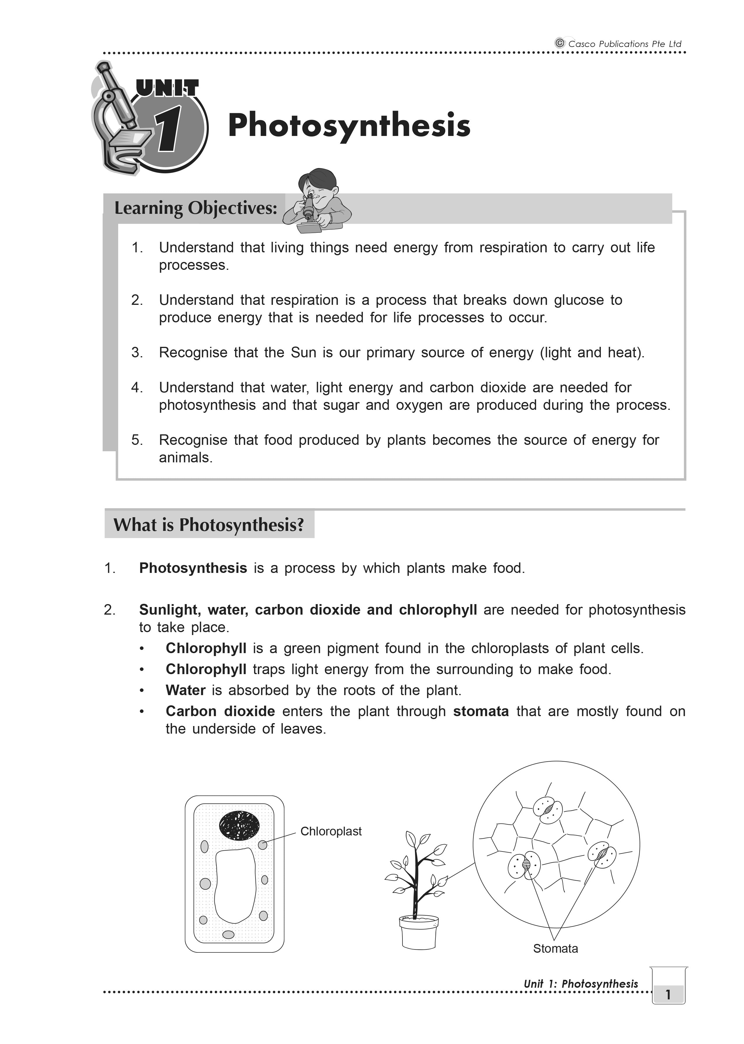 New Topical Science Primary 6 - 2nd Edition
