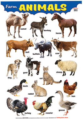 Farm Animals - Educational Wall Poster