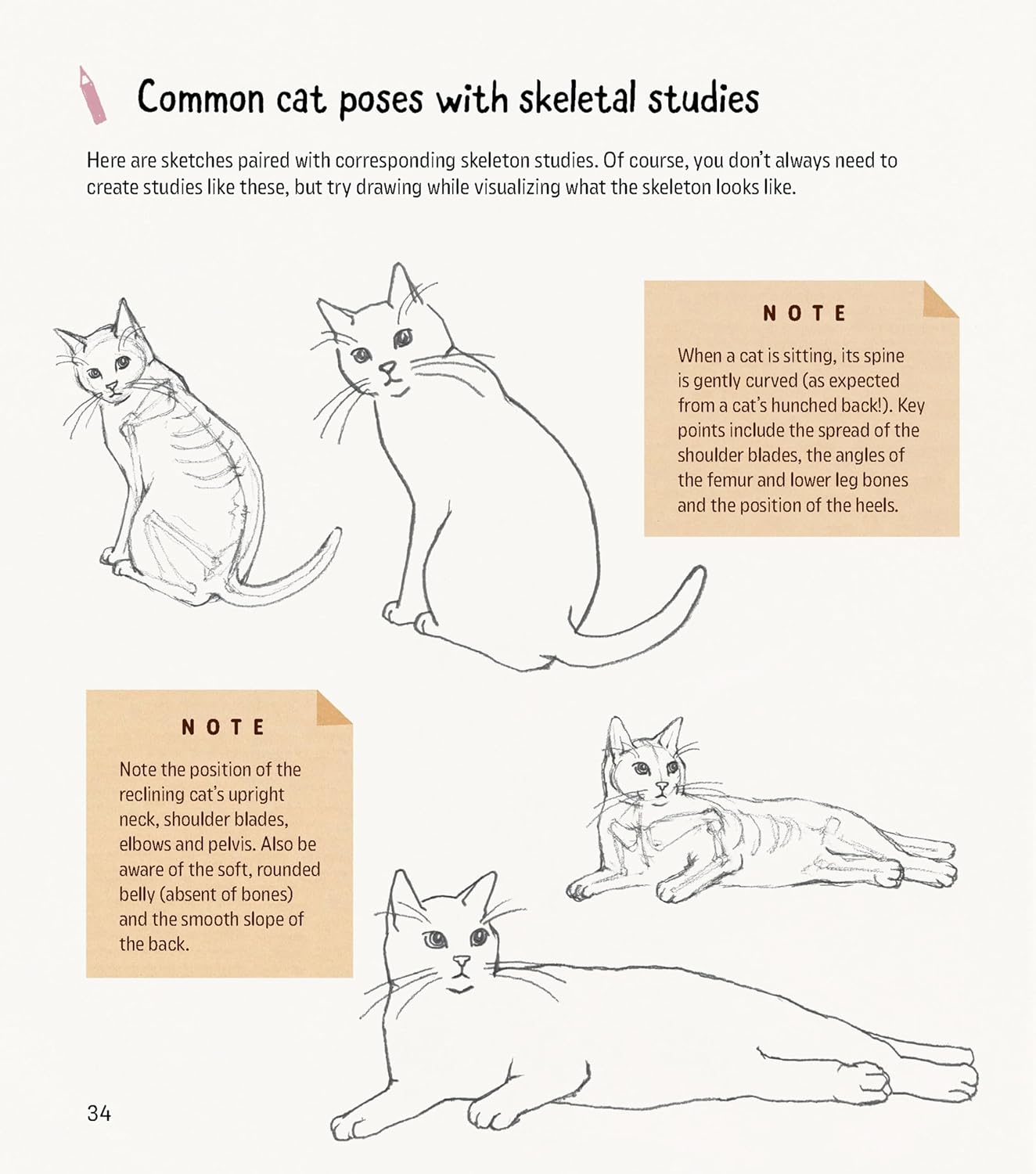 How to Draw Kawaii Cats: Sketch and Paint Your Adorable Feline Friends in Dozens of Different Ways! (Paperback)