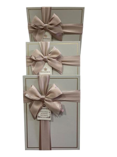 Gift Box (M) 26*19*8 Y91307