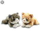 Uw Ss 12 Laying Cat