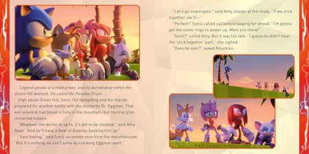 Sonic vs. New Yoke City (Sonic the Hedgehog) (Paperback – Sticker Book)