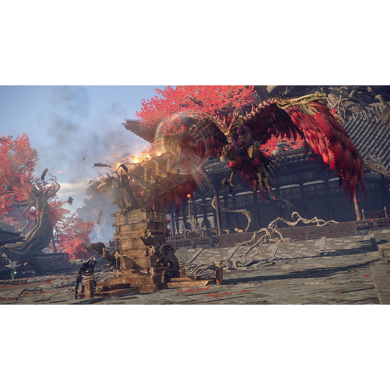 WILD HEARTS S