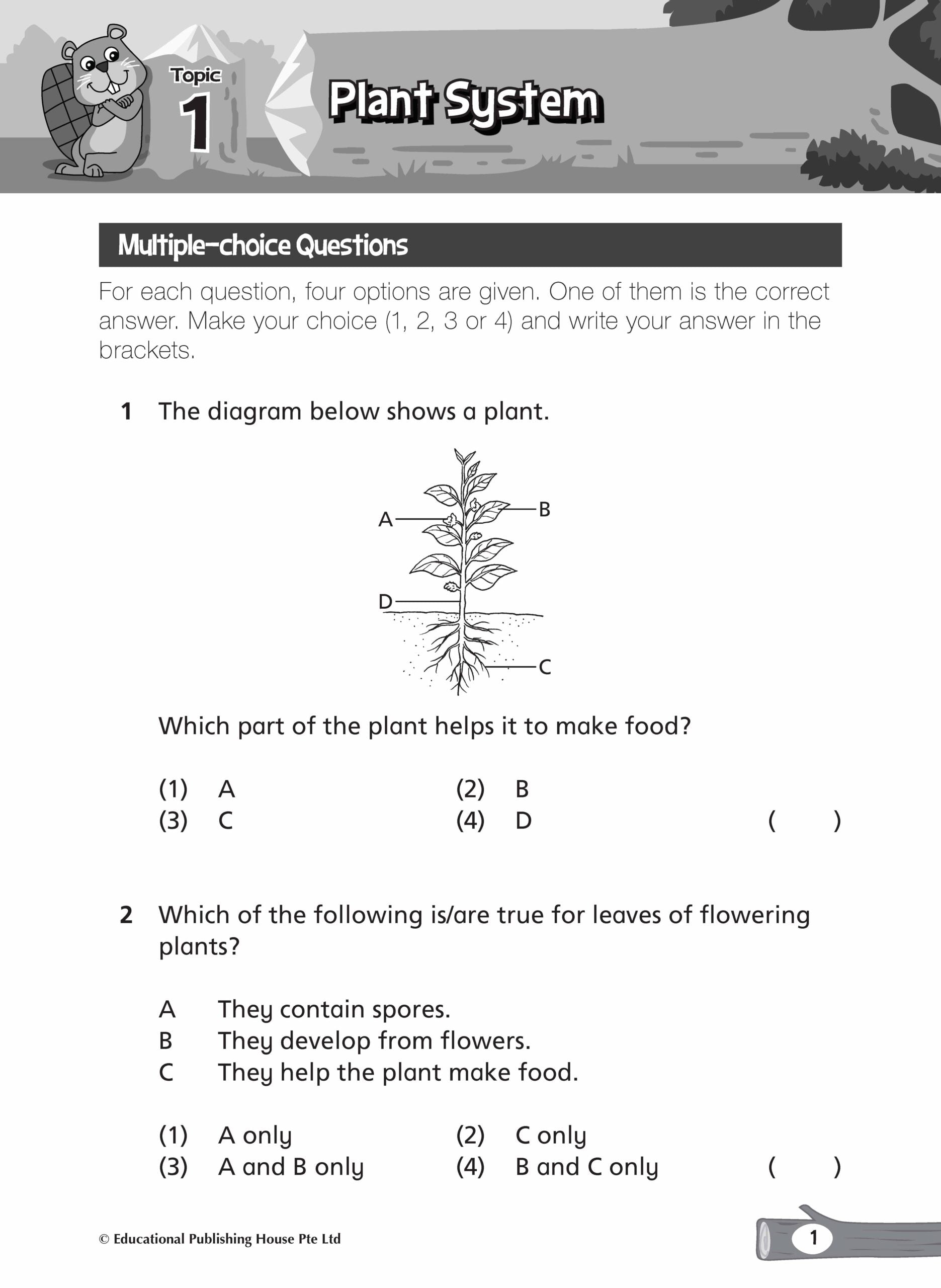 Primary 4 Complete Science Topical Tests (2nd Edition)