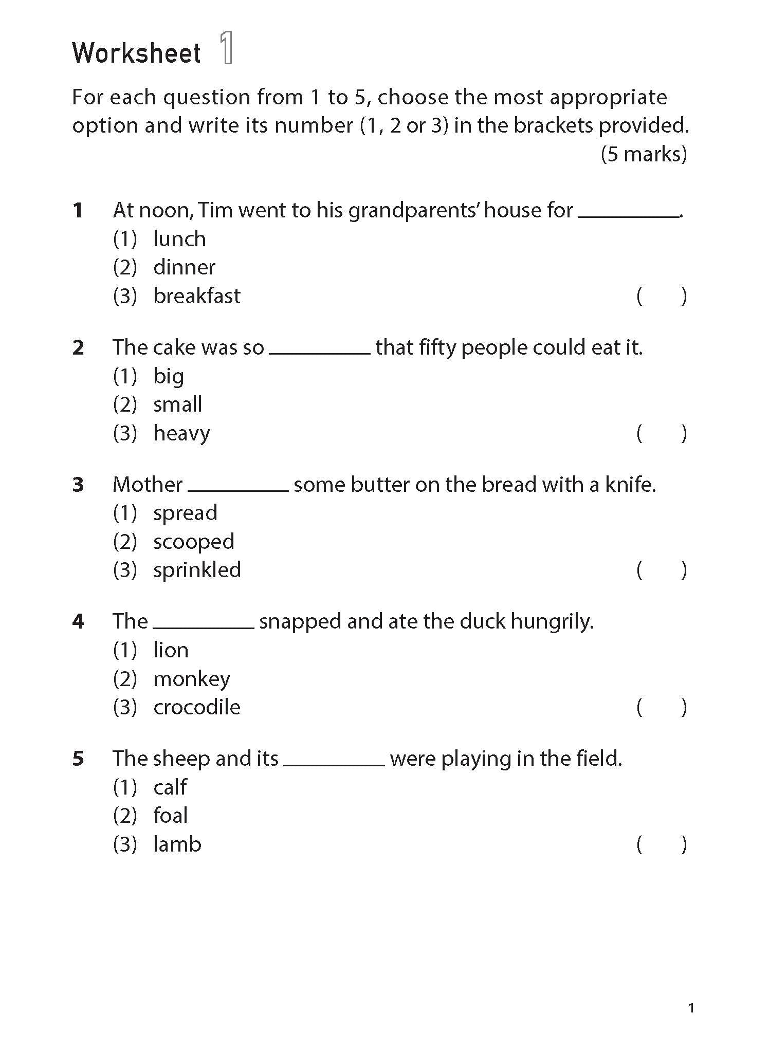 Primary 1 100 Eng Worksheets:vocab Mcq