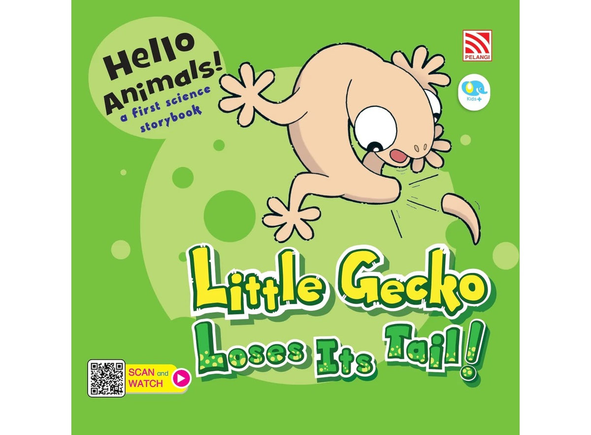 HELLO ANIMALS:LITTLE GECKO LOSES ITS TAI