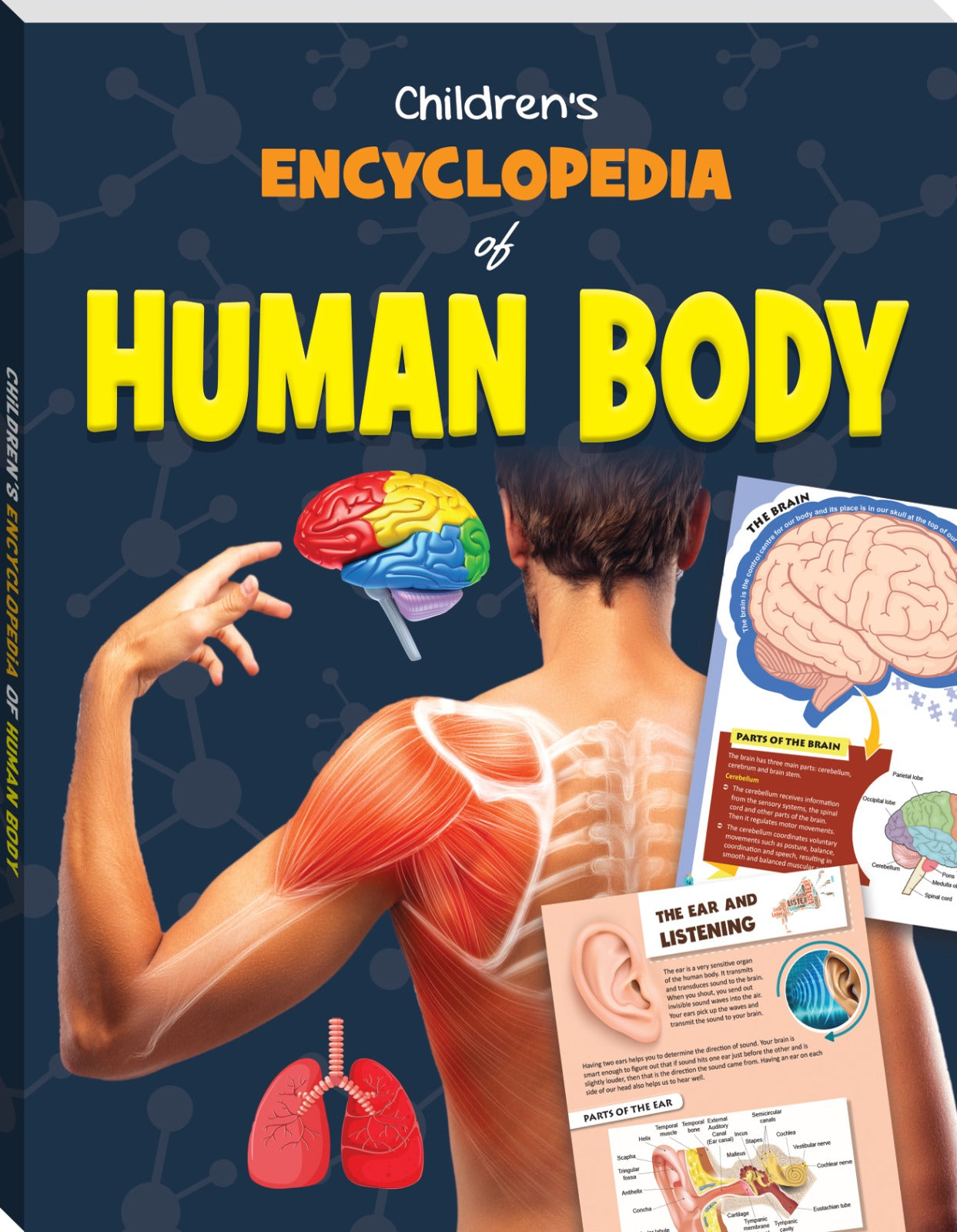Children's Encyclopedia Of Human Body