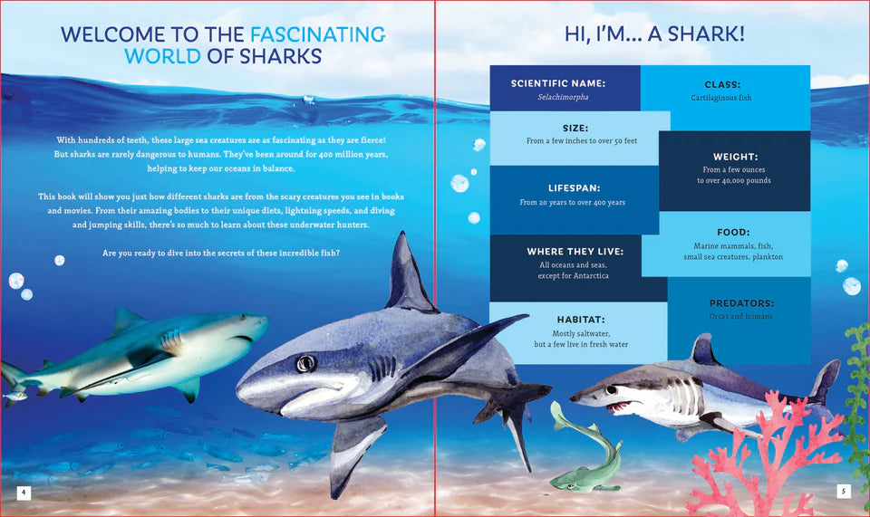 Sharks (Brainy Creatures)