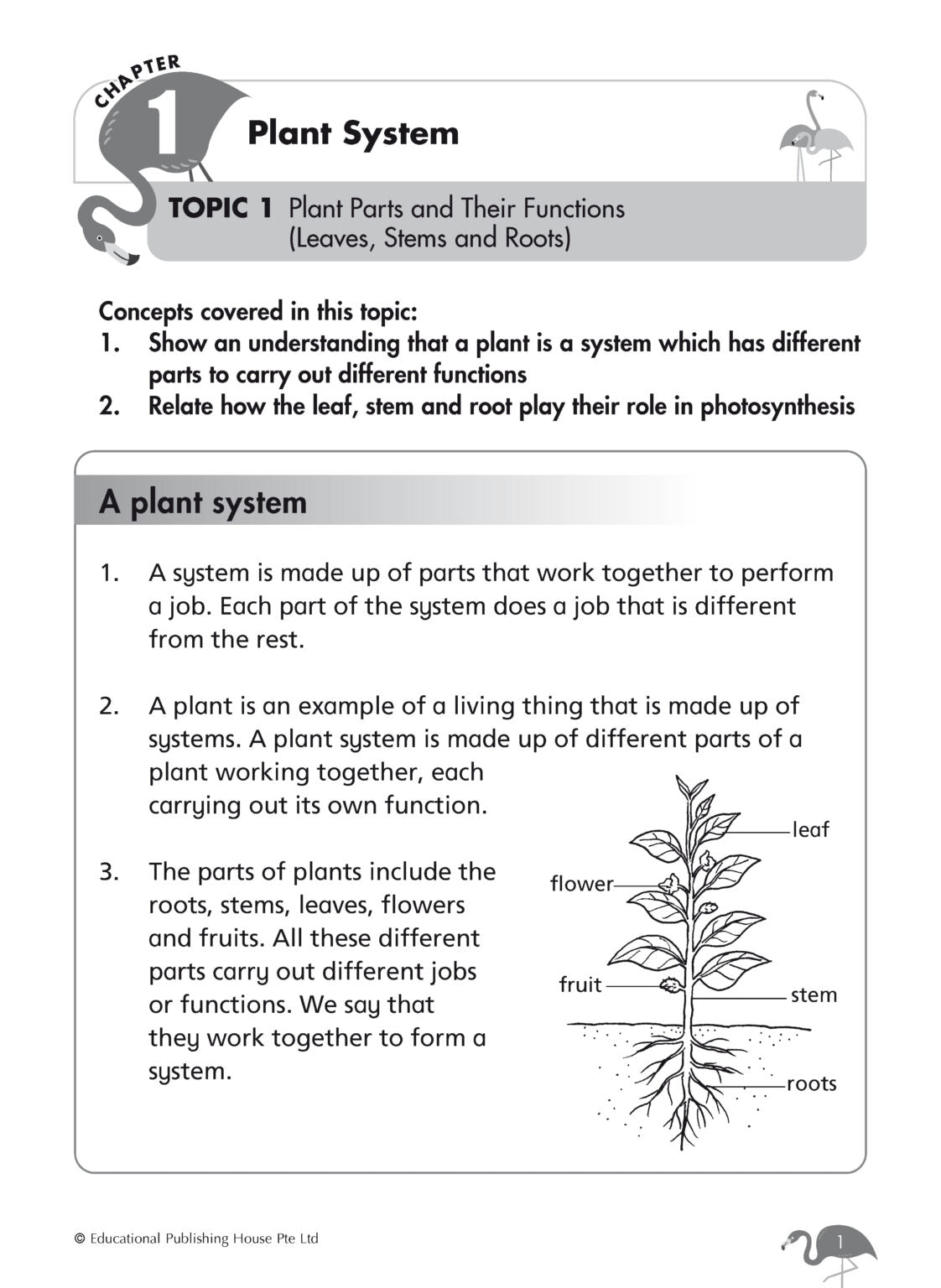 Primary 4 Science Revision Workbook