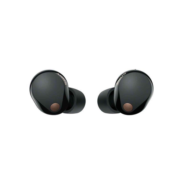 Sony WF-1000XM5 Wireless Noise Cancelling Headphones (Black)