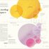  Humans: The Evolution of a Species